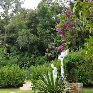 https://domus-espaco-in-sol-e-natureza.santa-catarina-brasil.com